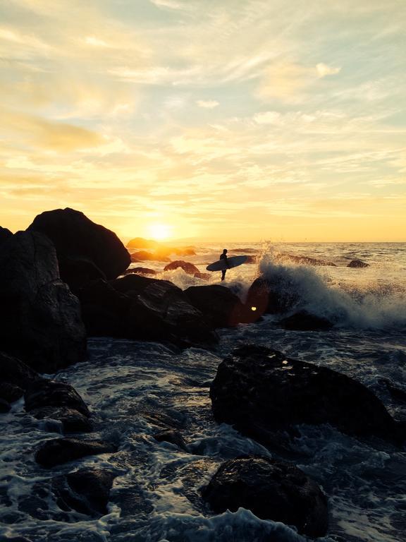 Bazil'S Backpackers Bbh Hostel & Surf School 韦斯特波特 客房 照片