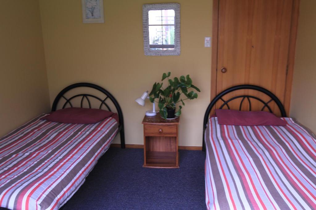 Bazil'S Backpackers Bbh Hostel & Surf School 韦斯特波特 客房 照片