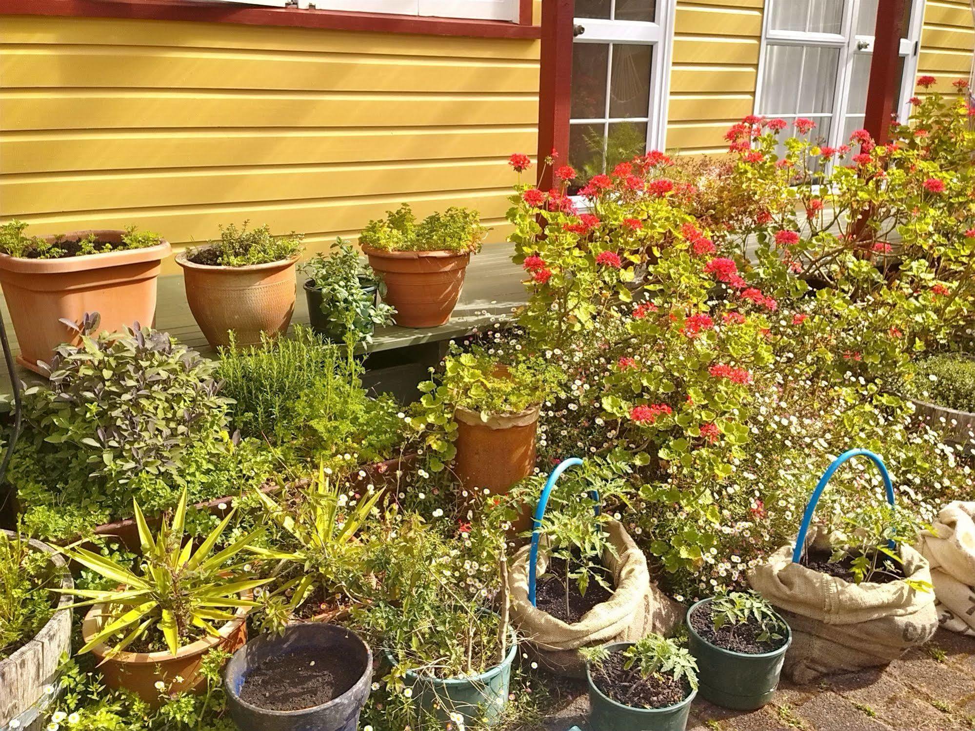 Bazil'S Backpackers Bbh Hostel & Surf School 韦斯特波特 外观 照片